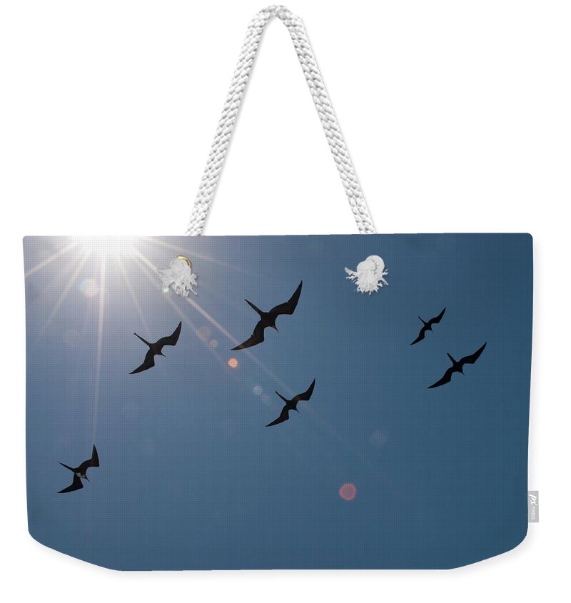 Bird Weekender Tote Bag featuring the photograph Frigates Above by Julia McHugh