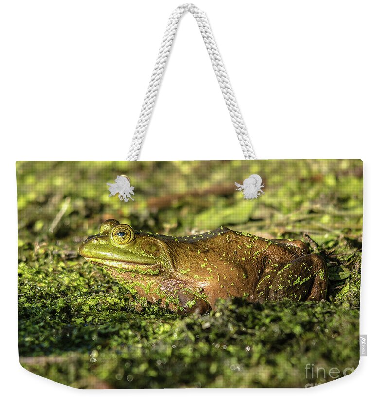 Cheryl Baxter Photography Weekender Tote Bag featuring the photograph Frog Profile by Cheryl Baxter