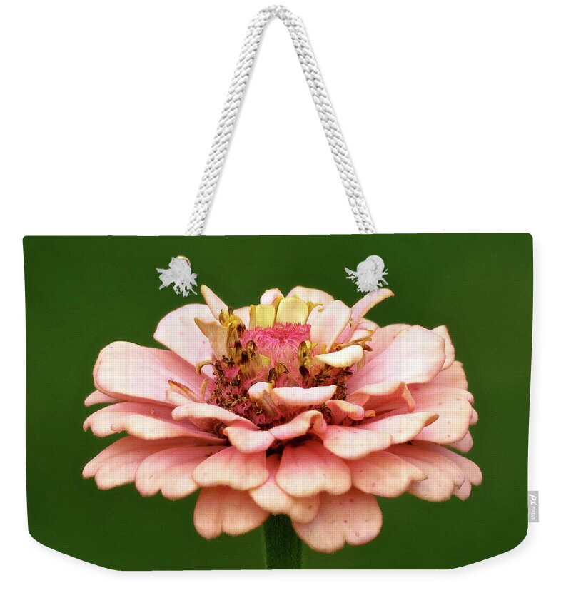 Flower Weekender Tote Bag featuring the photograph From Garden to Heart by Azthet Photography