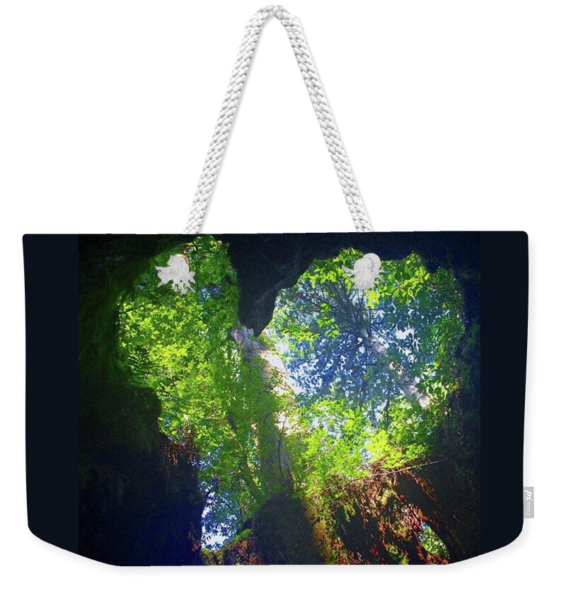 Heart Weekender Tote Bag featuring the photograph Wilson stump by Ippei Uchida