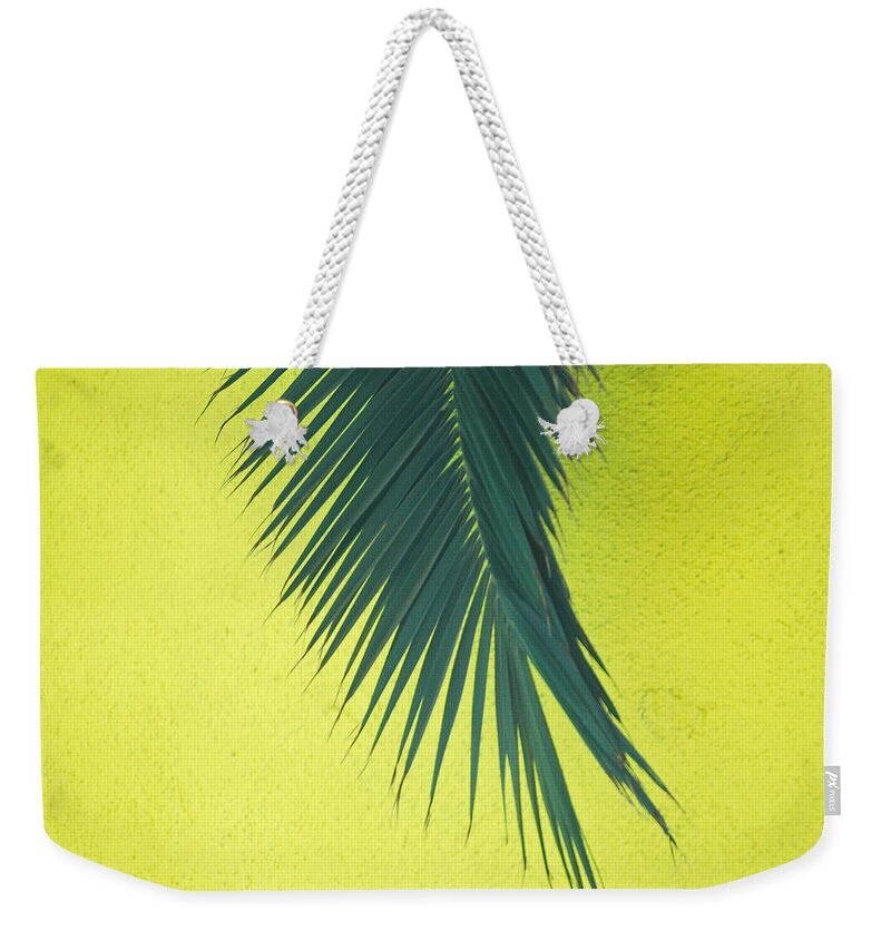 Palm Tree Weekender Tote Bag featuring the photograph Frond by Maggy Marsh