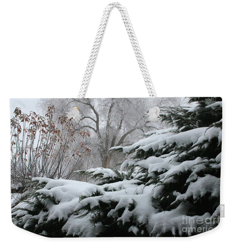 Winter Weekender Tote Bag featuring the photograph Frost and Snow by Carol Groenen