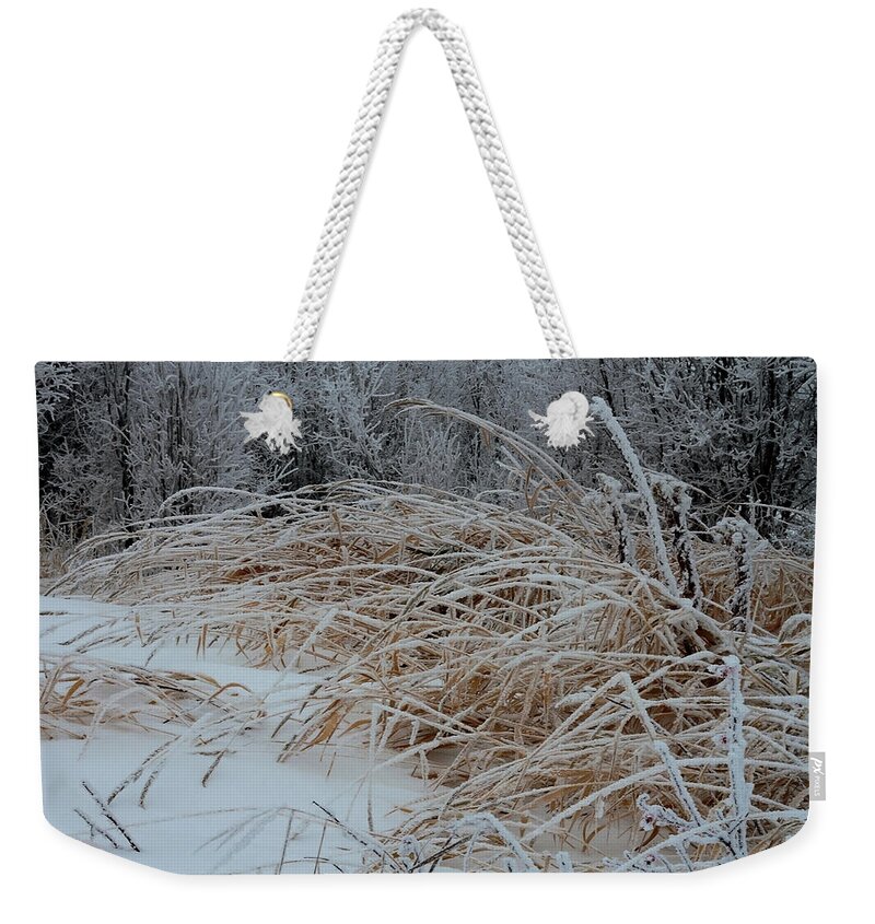 Frost Laden Grasses Weekender Tote Bag featuring the photograph Frost Laden Grasses by Sandra Foster