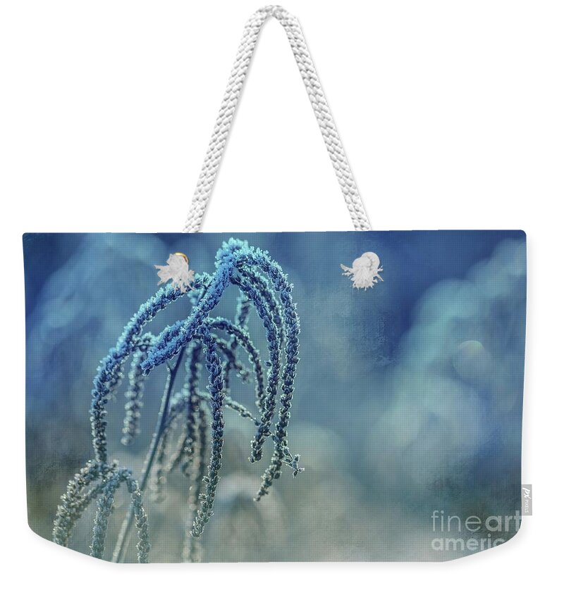 Frosted Weekender Tote Bags