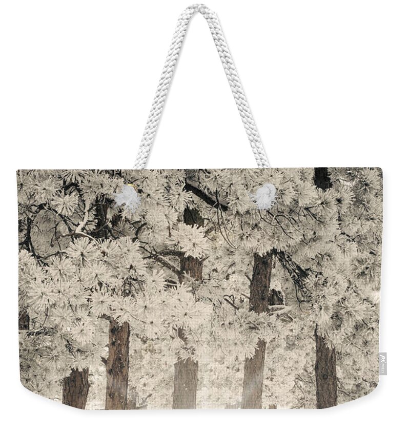 Cold Weekender Tote Bag featuring the photograph Frosted by Juli Scalzi