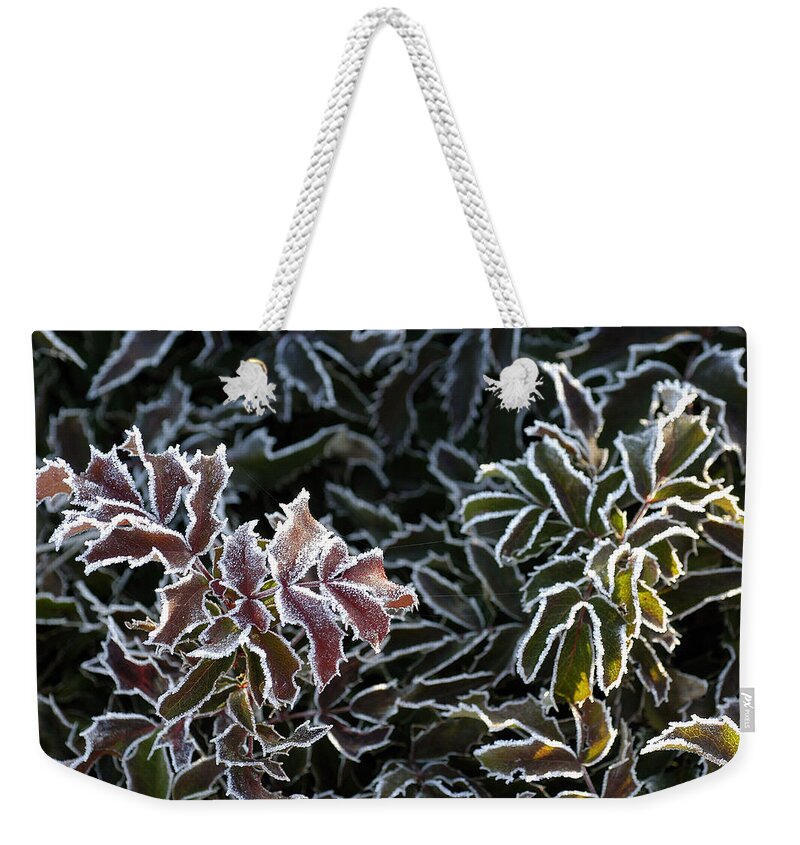 Holley Weekender Tote Bag featuring the photograph Frosted Tips by DArcy Evans