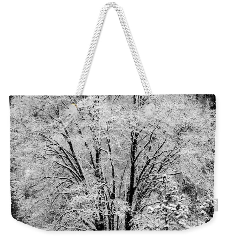Tree Weekender Tote Bag featuring the photograph Frosted Tree Yosemite Valley by Lawrence Knutsson