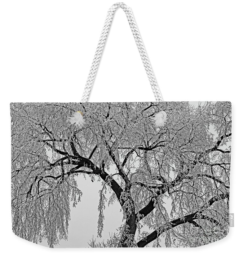  Weekender Tote Bag featuring the digital art Frosty Friday by Darcy Dietrich