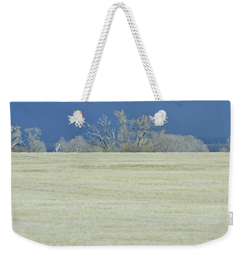 Landscape Weekender Tote Bag featuring the photograph Frosty Morning Landscape by Nadalyn Larsen