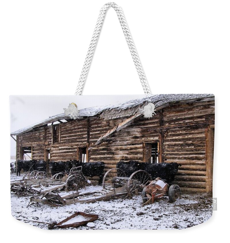 Cattle Weekender Tote Bag featuring the photograph Frozen Beef by Susan Kinney