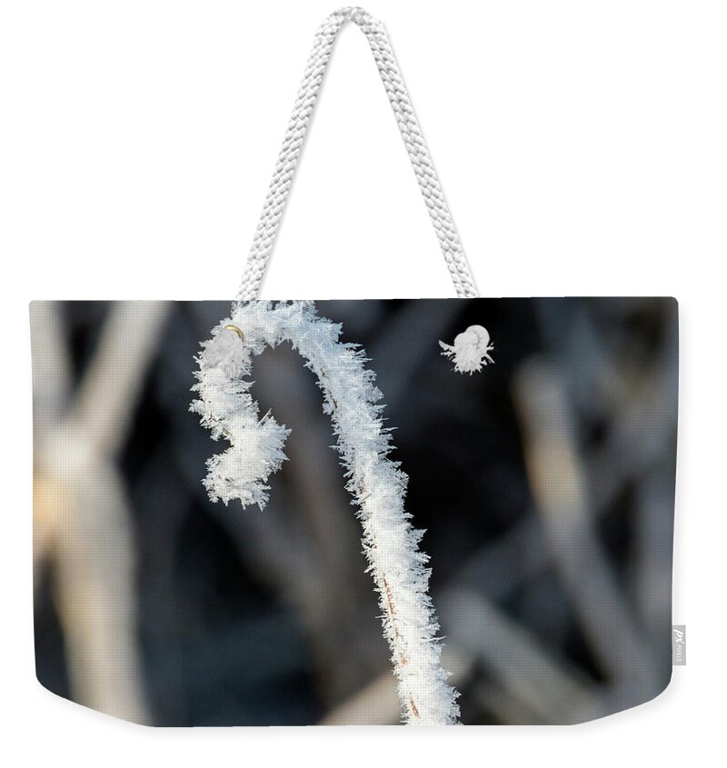 Cane Weekender Tote Bag featuring the photograph Frozen Cane by Michael Dawson