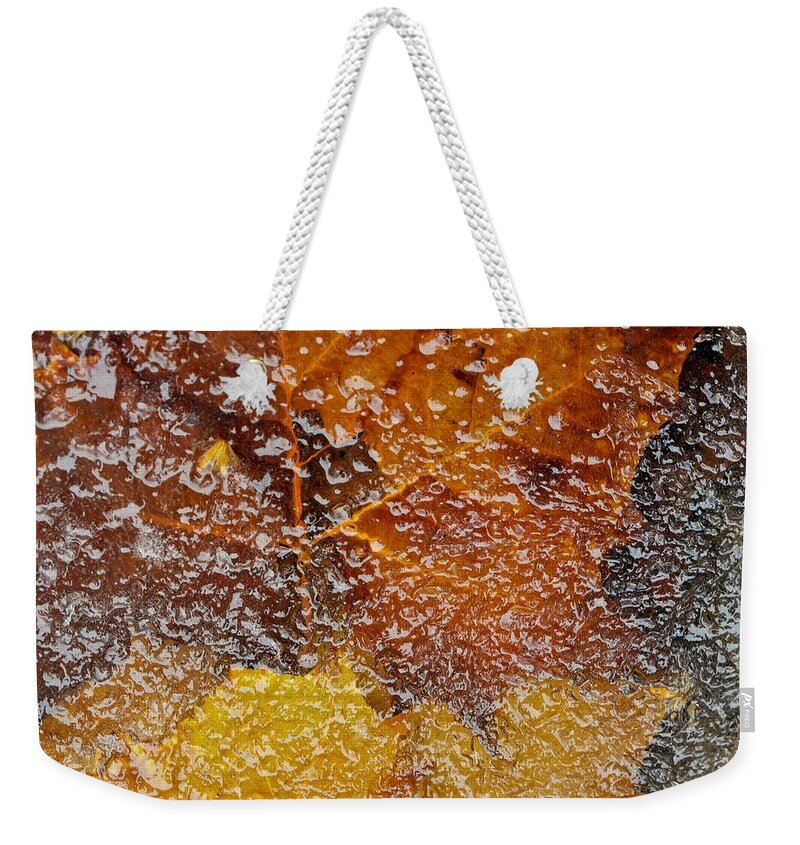 Ice Weekender Tote Bag featuring the photograph Frozen Colors by Stephen Anderson