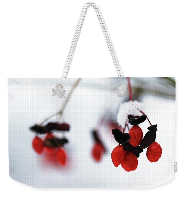 Snow Weekender Tote Bag featuring the photograph Frozen Fruit by Debbie Oppermann
