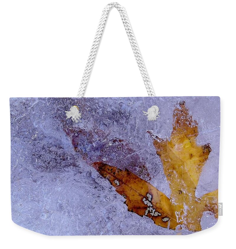 Nature Weekender Tote Bag featuring the photograph Frozen in Time by Shelli Fitzpatrick