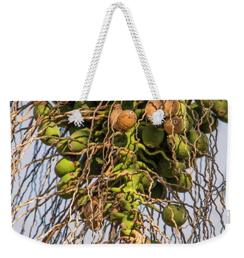 Agriculture Weekender Tote Bag featuring the photograph Fruits of a Date Tree by Adriana Zoon