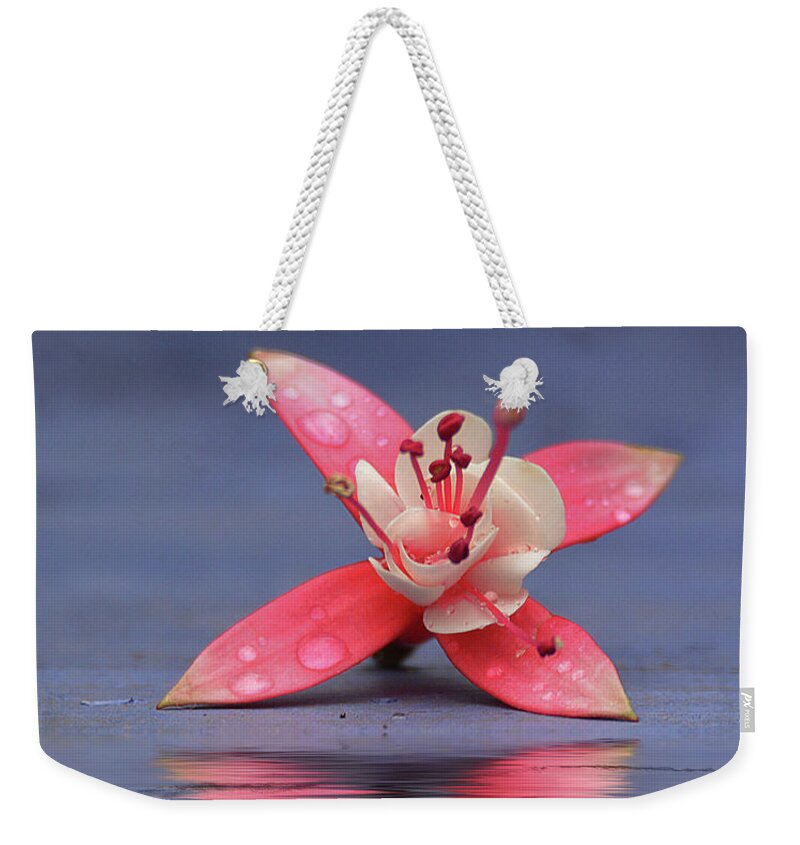  Weekender Tote Bag featuring the photograph Fuchsia and Reflection by Kathy Russell
