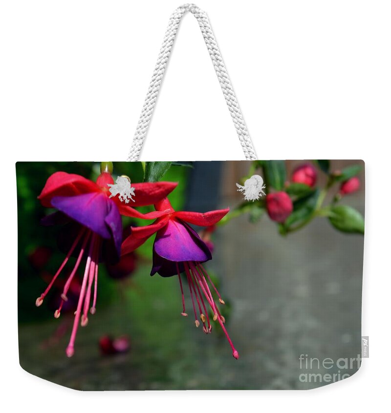 Adrian-deleon Weekender Tote Bag featuring the photograph Fuchsia Original Photo by Adrian De Leon Art and Photography