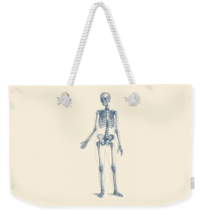 Skeleton Weekender Tote Bag featuring the drawing Full Body Skeleton - Vintage Anatomy Poster by Vintage Anatomy Prints