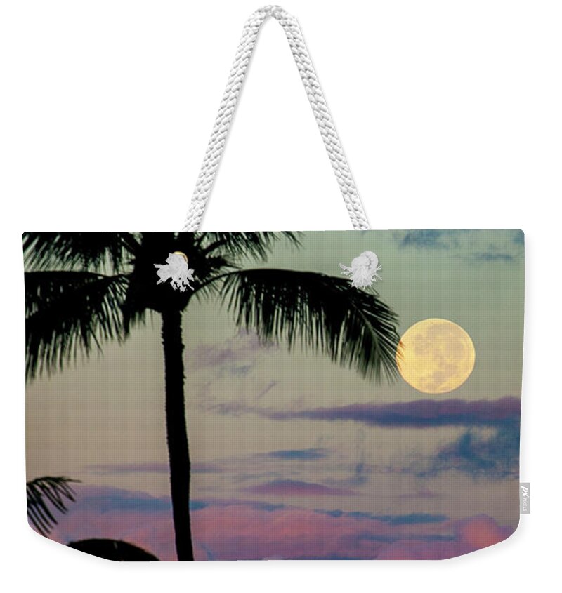 Palm Trees Weekender Tote Bag featuring the photograph Full Moon and Palm Trees by Anthony Jones