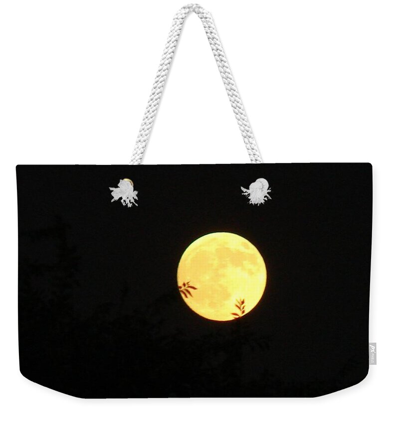 Full Moon Weekender Tote Bag featuring the photograph Full Moon August 2008 by Liz Vernand