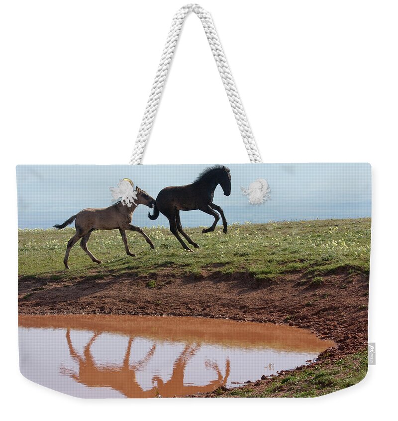 Wild Horse Weekender Tote Bag featuring the photograph Fun in the Rockies- Wild Horse Foals by Mark Miller