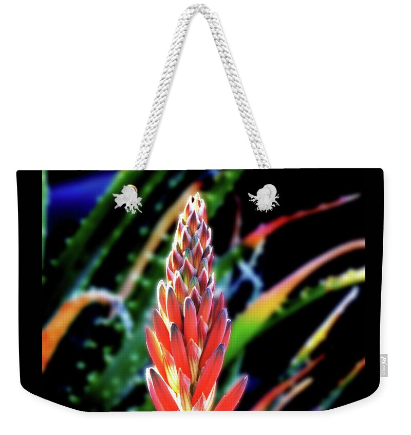 Flower Weekender Tote Bag featuring the photograph Funky Spider Aloe by Alan Socolik
