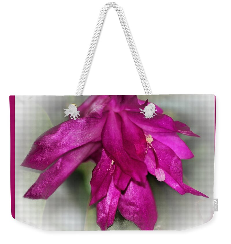 Fuchsia Weekender Tote Bag featuring the photograph Fuschia Christmas by Lucy VanSwearingen