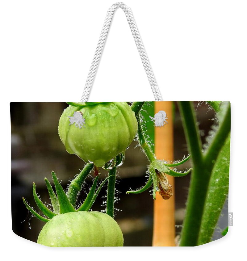 Plant Weekender Tote Bag featuring the photograph Future Lunch by Betty-Anne McDonald