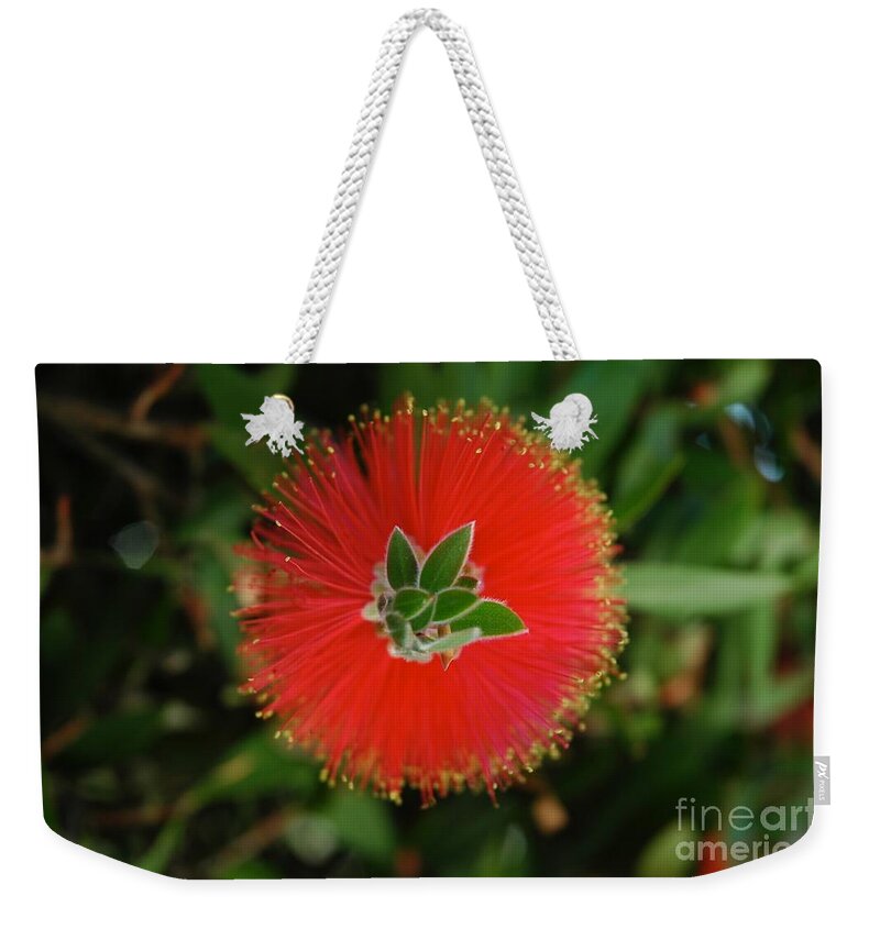 Flower Weekender Tote Bag featuring the photograph Fuzzy Flower by Glenda Zuckerman