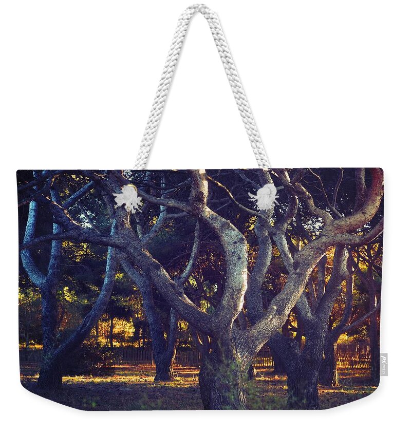 Forest Weekender Tote Bag featuring the photograph Gaou's forest by Valerie Dauce
