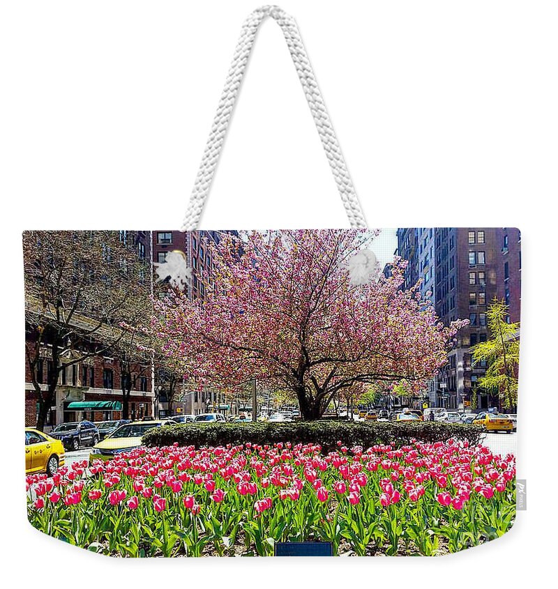 Tree Weekender Tote Bag featuring the photograph Garden by Brianna Kelly