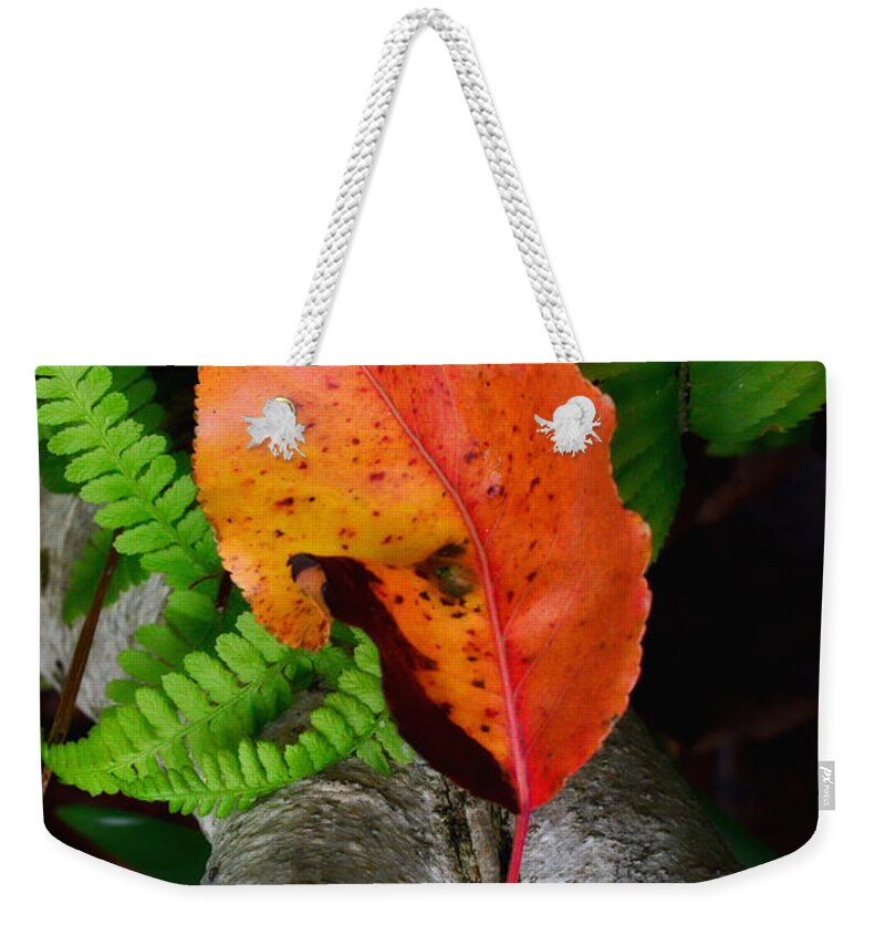 Red Leaf Weekender Tote Bag featuring the photograph Garden Charmer by Donna Blackhall