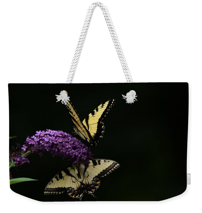 Butterfly Weekender Tote Bag featuring the photograph Garden of Eden by Carolyn Mickulas