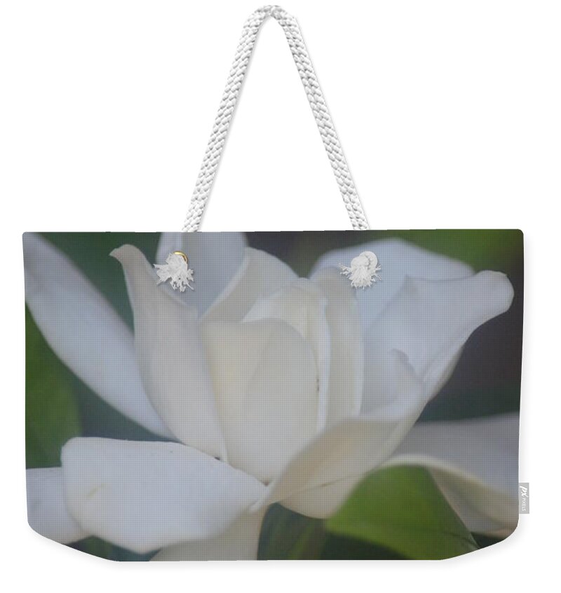Gardenia Divine Weekender Tote Bag featuring the photograph Gardenia Divine by Maria Urso