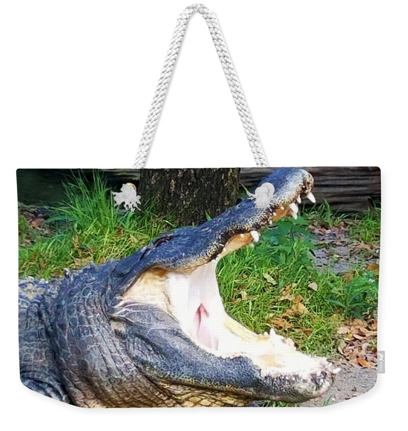 Alligator Weekender Tote Bag featuring the photograph Gator Bait by Rick Redman