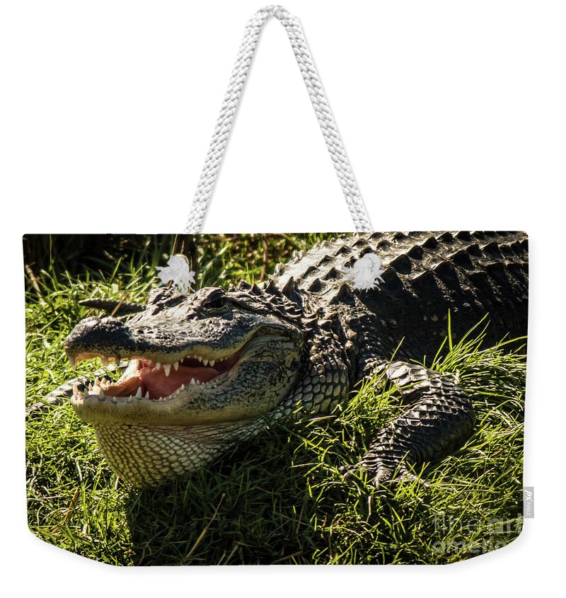 Gator Weekender Tote Bag featuring the photograph Gator by George Kenhan