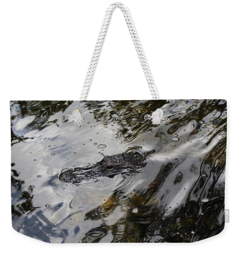Alligator Weekender Tote Bag featuring the photograph Gator Profile by Denise Cicchella