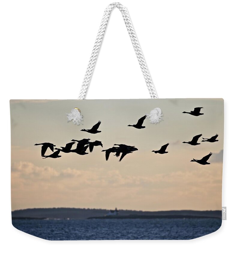 Canada Geese Weekender Tote Bag featuring the photograph Geese and Cuckholds by John Meader