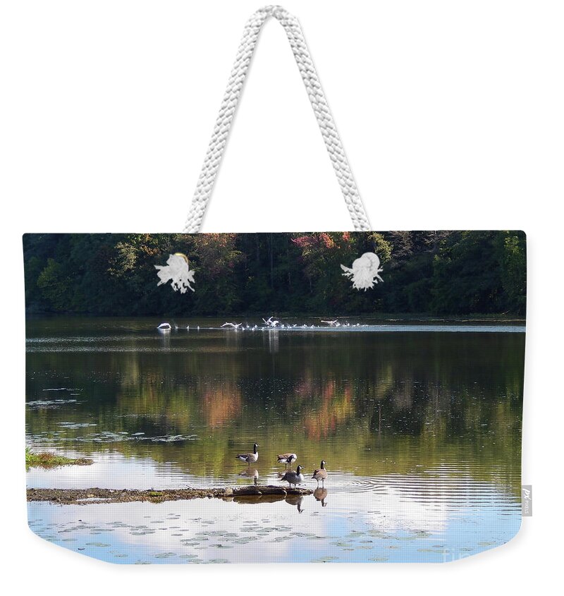 Photography Weekender Tote Bag featuring the photograph Geese At Rest And Flying by Phil Perkins