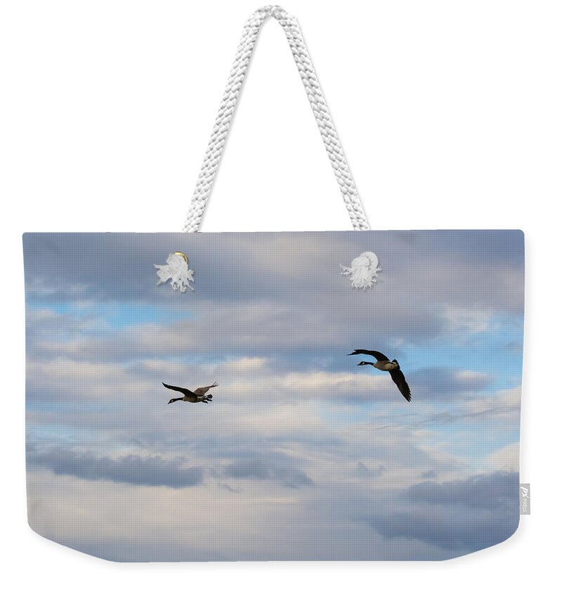 Canada Geese Weekender Tote Bag featuring the photograph Geese in the Clouds by Holden The Moment