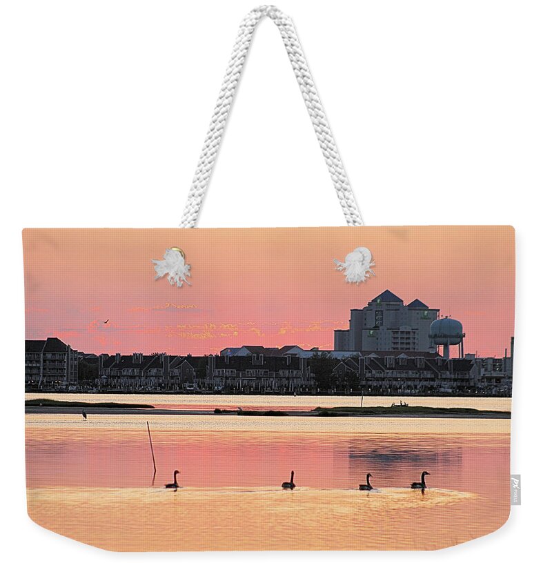 Animals Weekender Tote Bag featuring the photograph Geese Swimming on Isle of Wight Bay by Robert Banach