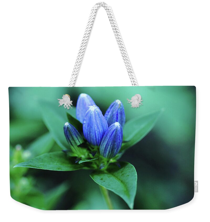 Gentian Weekender Tote Bag featuring the photograph Gentian Blue by Debbie Oppermann