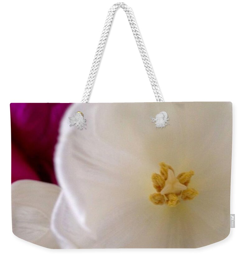 Flowers Weekender Tote Bag featuring the photograph Gentle			 by Denise Railey