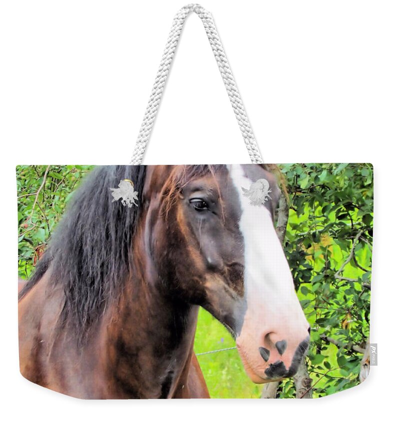Shire Horse Weekender Tote Bag featuring the photograph Gentle Soul by Elizabeth Dow