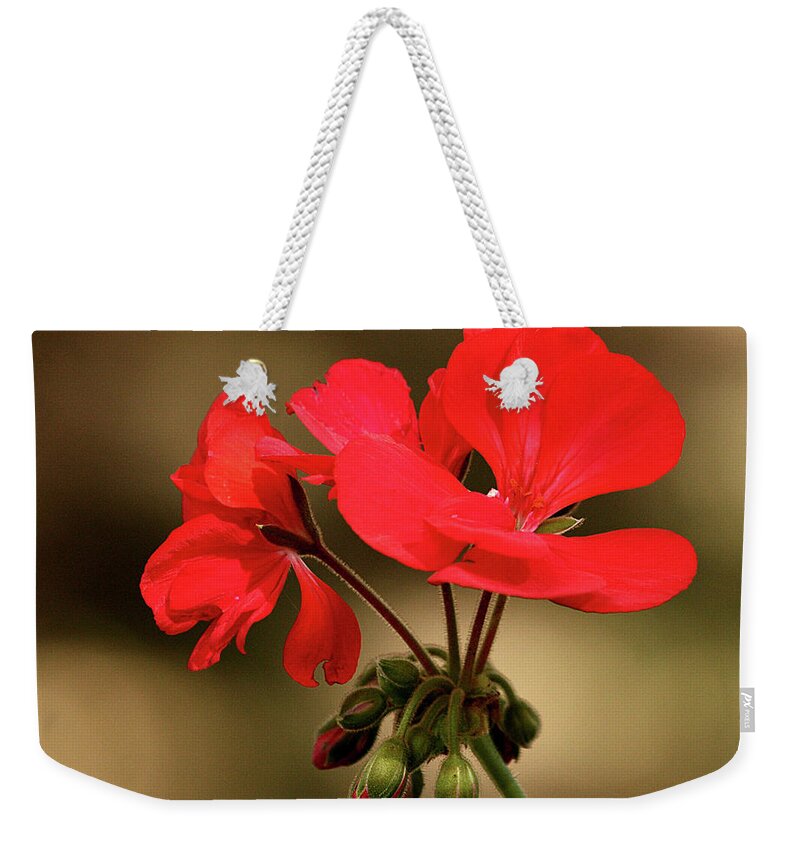 Nature Weekender Tote Bag featuring the photograph Geranium Blooms by Sheila Brown