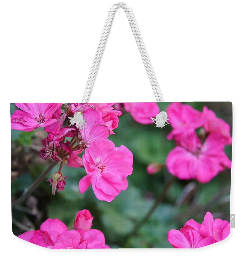 Geranium Weekender Tote Bag featuring the photograph Geraniums by Stephen Daddona