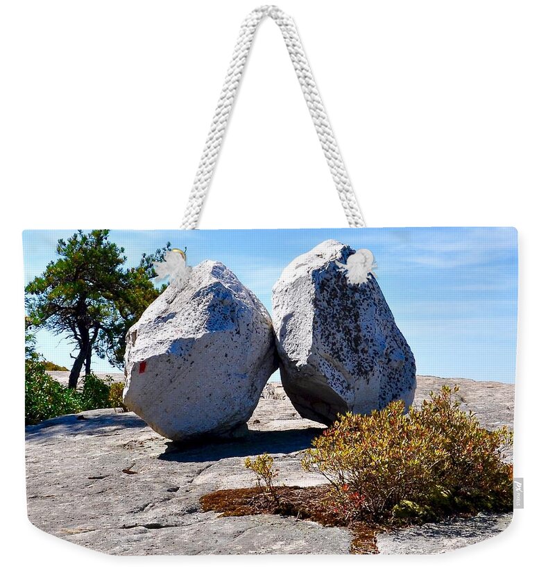 #gertrude's Kiss Weekender Tote Bag featuring the photograph Gertrude's Kiss by Cornelia DeDona