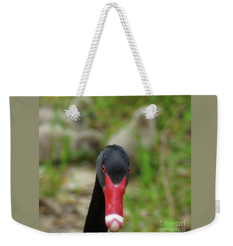 Black Swan Weekender Tote Bag featuring the photograph Get Out by Cassandra Buckley