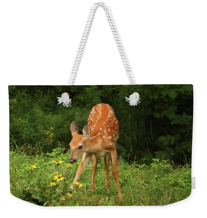 Deer Weekender Tote Bag featuring the photograph Getting the Sniff Test by Duane Cross