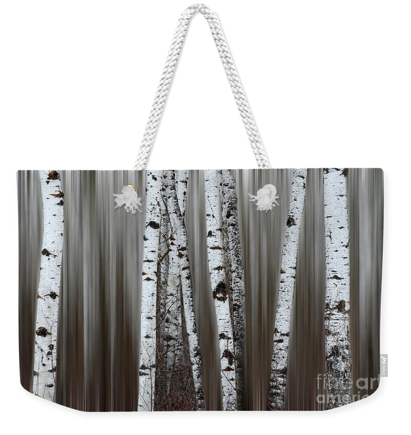 Tree Weekender Tote Bag featuring the photograph Ghost Forest 1 by Bob Christopher